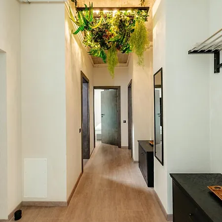 Centro Κλουζ-Ναπόκα